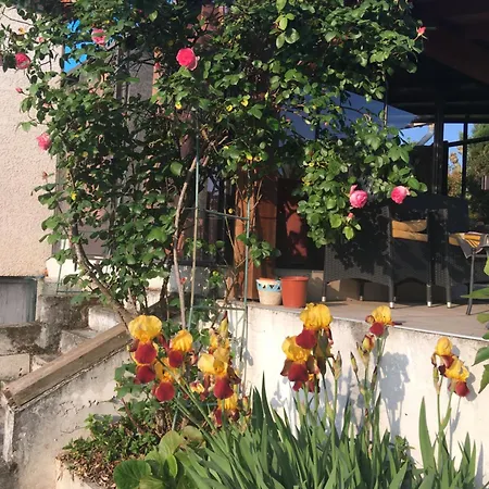 La Colombe * Vienne (Isere)